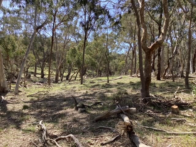 Click to view all images Lot 70C & McMillan Lane Beaufort VIC 3373 - Image 3