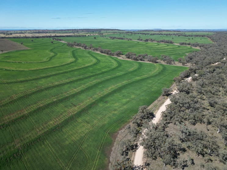 Click to view all images 3531 Yetman Road Graman NSW 2360 - Image 2
