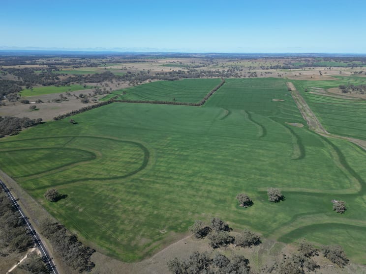 Click to view all images 3531 Yetman Road Graman NSW 2360 - Image 3