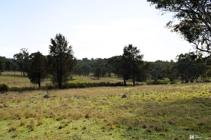 Click to view all images The Springs Road, Benolong, Lot 25 in DP 753232 Yeoval NSW 2868 - Image 3