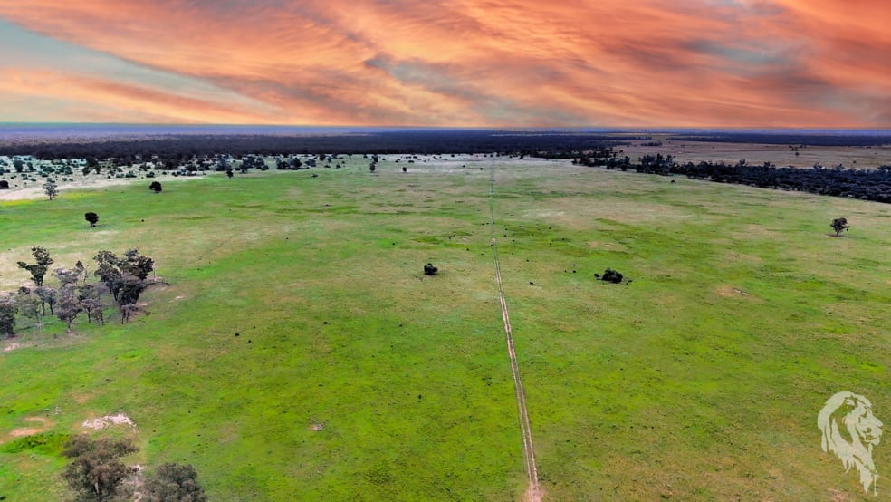 1857 Stumpy Lane Wee Waa NSW 2388 - Image 1