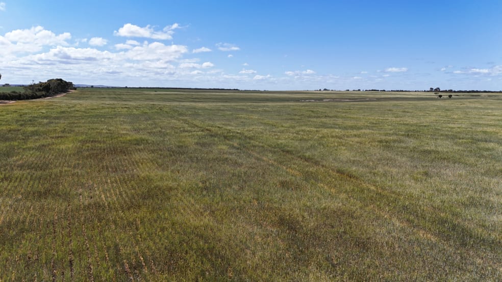 Pcs 56 & 57 Langhorne Creek Road Mulgundawa SA 5255 - Image 1