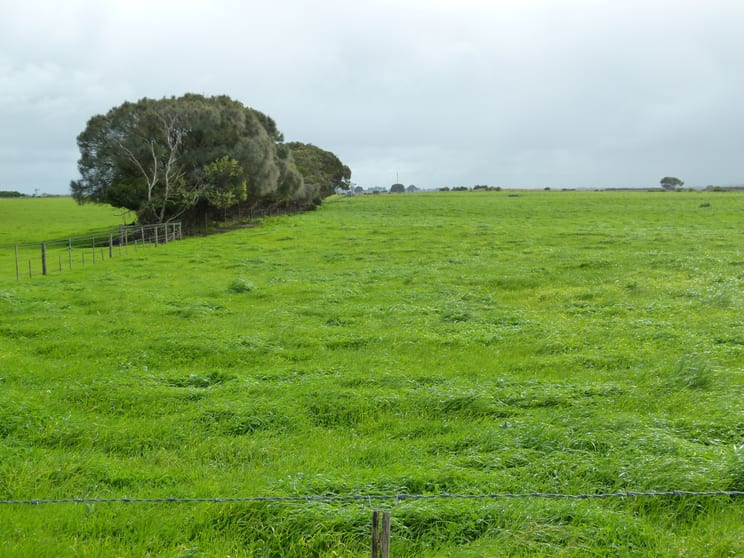 Click to view all images Southern Ports Hwy Rendelsham SA 5280 - Image 2