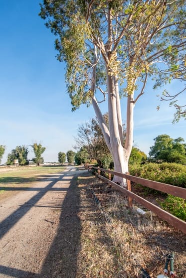 Click to view all images 177 Purgatory Road Cobram VIC 3644 - Image 3