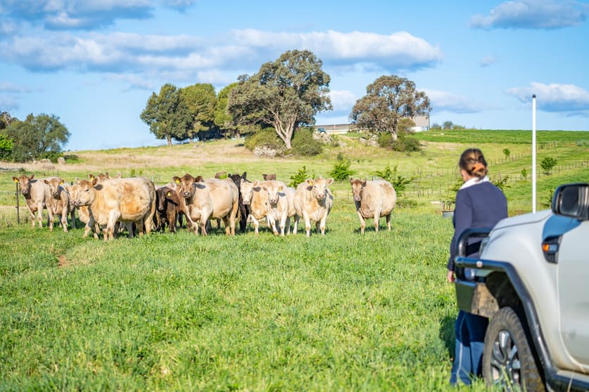 Click to view all images Canowindra Road Cowra NSW 2794 - Image 1