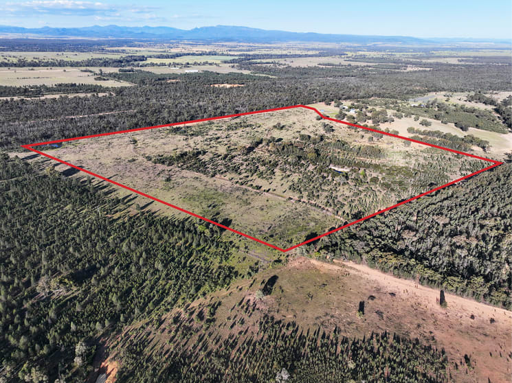 Click to view all images 516 Jacks Creek Road Narrabri NSW 2390 - Image 2