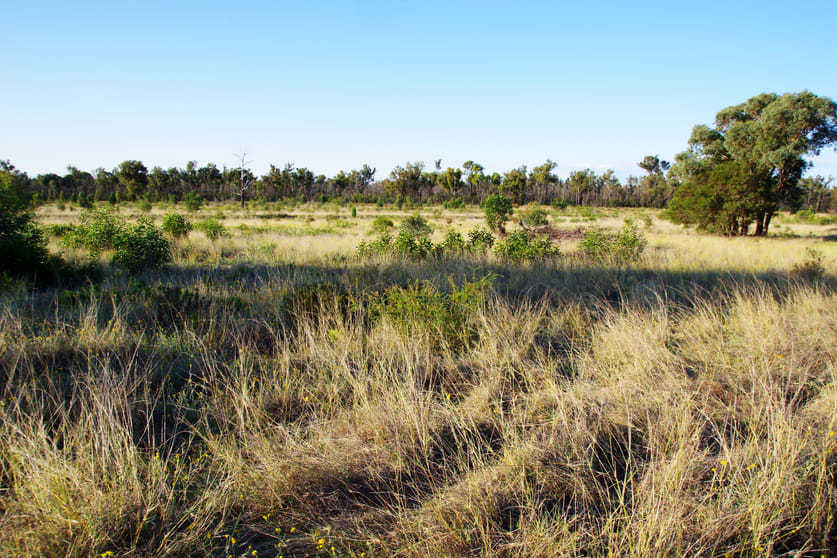 Click to view all images 516 Jacks Creek Road Narrabri NSW 2390 - Image 3