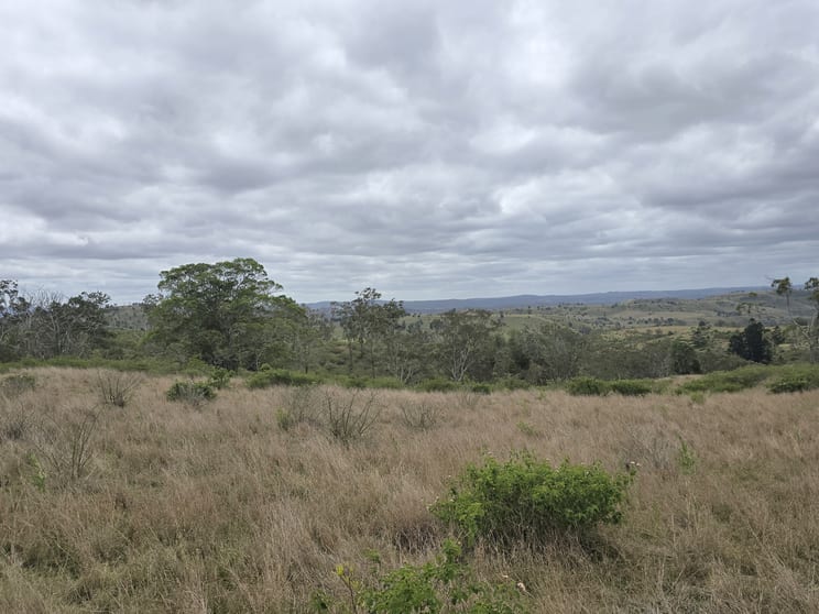 Click to view all images Lot 400 Schick Road Thornville QLD 4352 - Image 2
