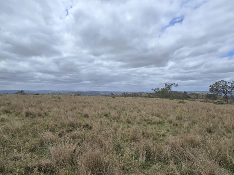 Click to view all images Lot 400 Schick Road Thornville QLD 4352 - Image 3