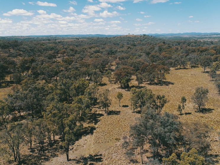 Lot 1 Stanthorpe Inglewood Road Stanthorpe QLD 4380 - Image 3