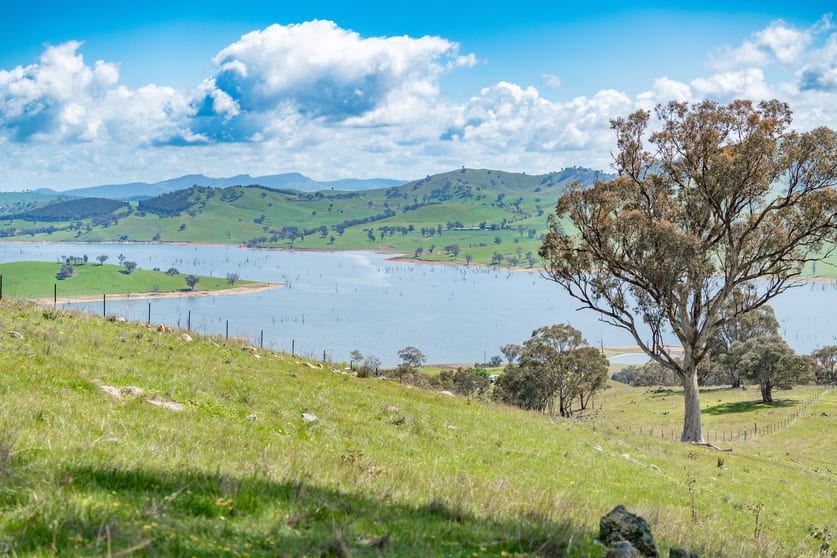'House' &/'Bert's Corner' 106 Wises Creek Road Talgarno VIC 3691 - Image 3