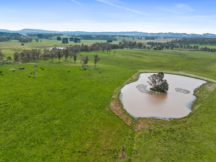Click to view all images Kelly's Creek/6110 Illawarra Highway Moss Vale NSW 2577 - Image 3