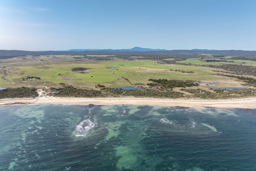 722 Beechford Road Beechford TAS 7252 - Image 3