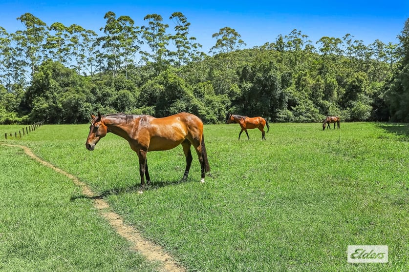 Click to view all images 1863 Yarramalong Road Yarramalong NSW 2259 - Image 2