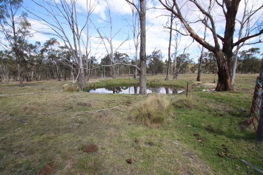7042 New England Highway Tenterfield NSW 2372 - Image 2