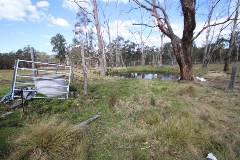 7042 New England Highway Tenterfield NSW 2372 - Image 3