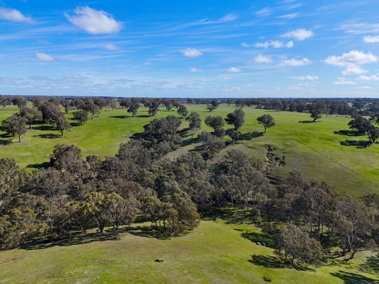 Click to view all images 2A/642 Careys Road Nareen VIC 3315 - Image 3