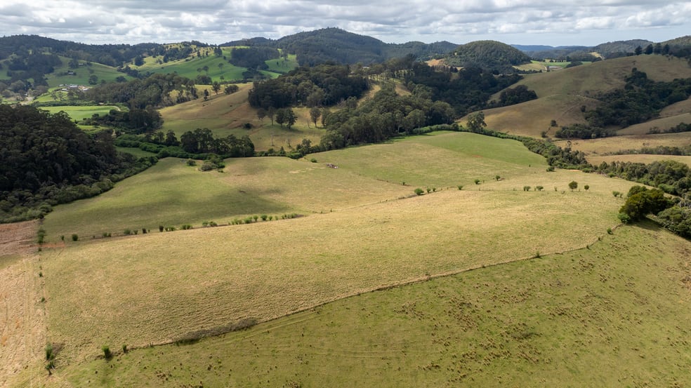 1100 Coramba Road Megan NSW 2453 - Image 1