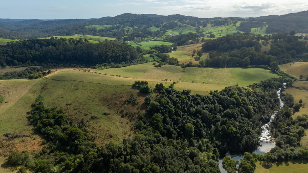 1100 Coramba Road Megan NSW 2453 - Image 2