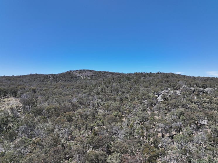Click to view all images Lot 1 Brusharbers Road Tenterfield NSW 2372 - Image 1