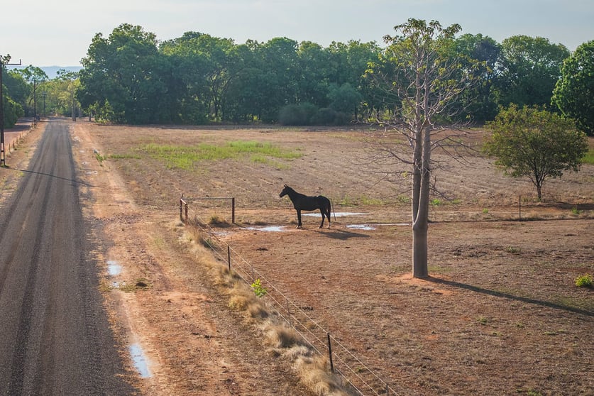 Click to view all images Lot 5 Weaber Plain Rd Kununurra WA 6743 - Image 3