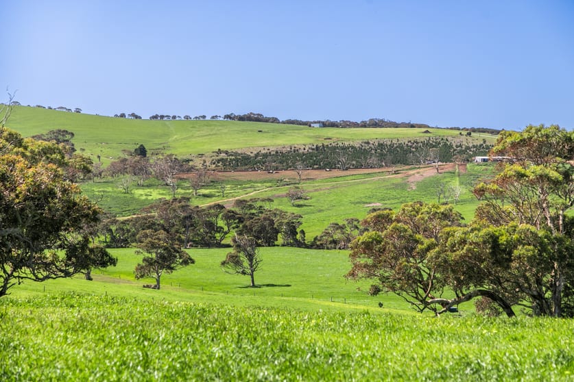 Click to view all images Lots 1474 & 10 Bennett Road Cape Jervis SA 5204 - Image 1