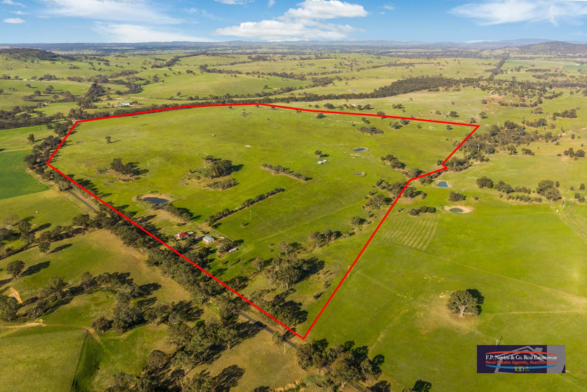 103 Simmons Road Baringhup VIC 3463 - Image 3