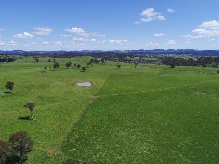 166 Wirribilla Road Walcha NSW 2354 - Image 3