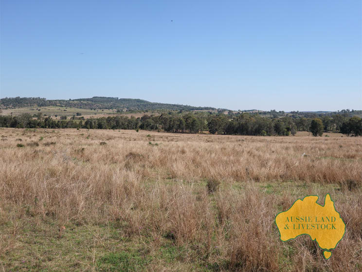 Click to view all images 737 Tingoora Charlestown Road Charlestown QLD 4608 - Image 2