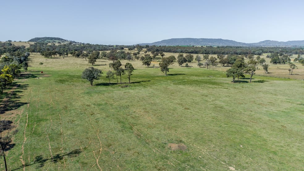 'Bullarook' 188 Bullarook Rd Coolah NSW 2843 - Image 2