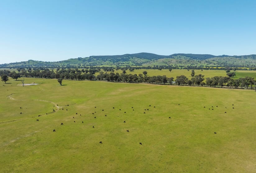 Click to view all images Mahers Road Violet Town VIC 3669 - Image 1