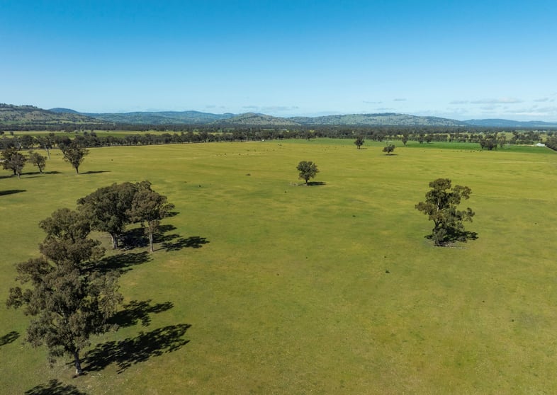 Click to view all images Mahers Road Violet Town VIC 3669 - Image 2