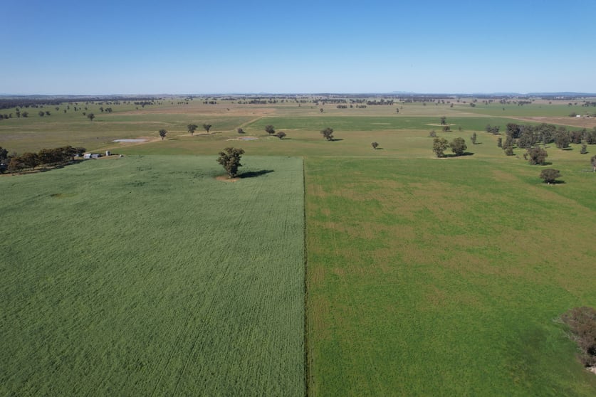 Click to view all images 1715 The Bogan Way Forbes NSW 2871 - Image 1