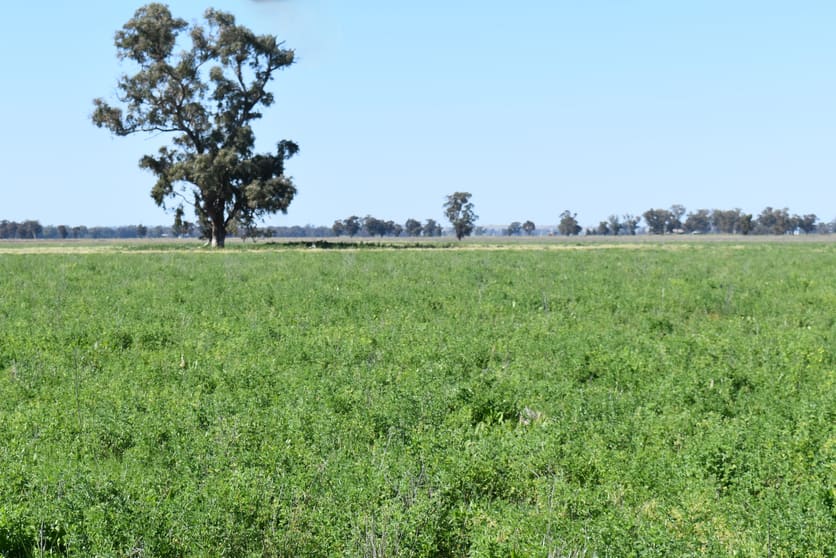 Click to view all images 1715 The Bogan Way Forbes NSW 2871 - Image 3
