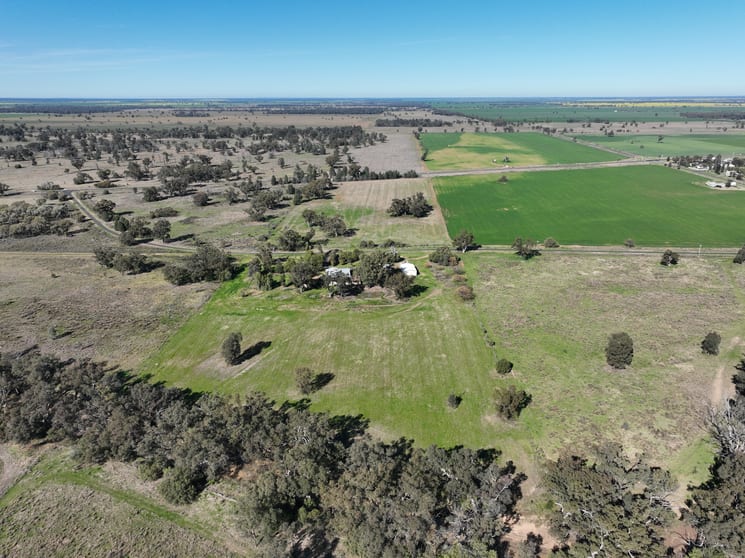 Click to view all images 'Sunshine' 52 Sunshine Street Collie NSW 2827 - Image 2