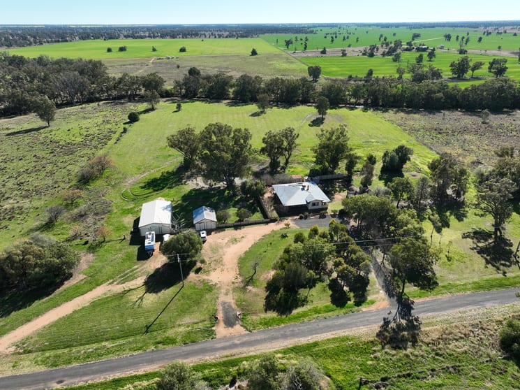 Click to view all images 'Sunshine' 52 Sunshine Street Collie NSW 2827 - Image 3