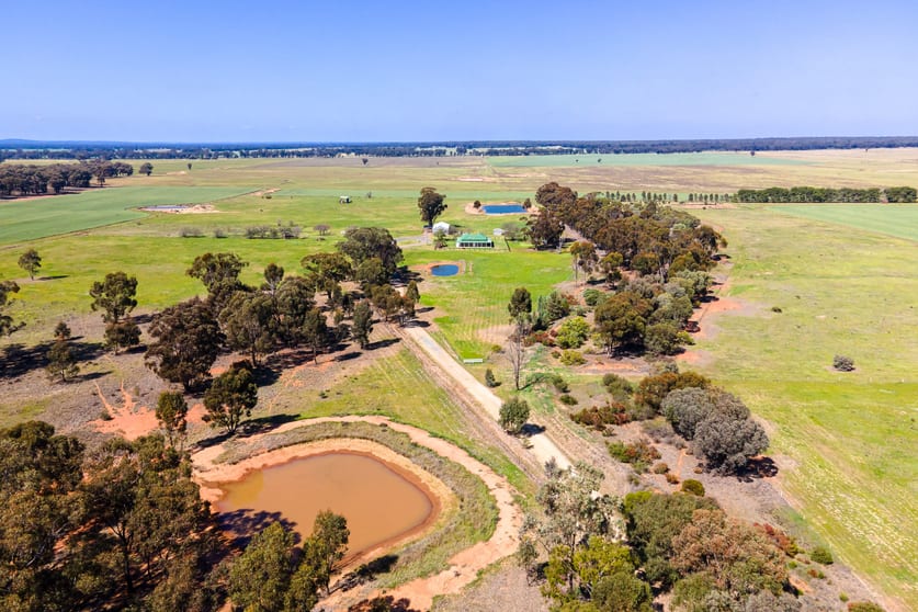 'The Cedars' Schmidts Road Temora NSW 2666 - Image 2