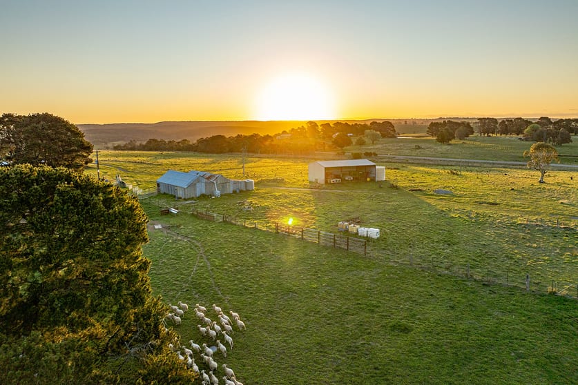 "Lochiel" 3234 Taralga Road Tarlo NSW 2580 - Image 3