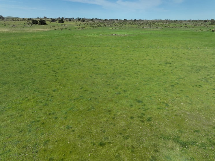 Click to view all images 690 South Dreeite Road Dreeite South VIC 3249 - Image 2