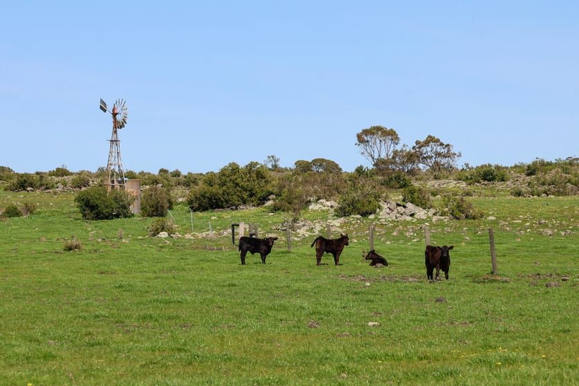 Click to view all images 690 South Dreeite Road Dreeite South VIC 3249 - Image 3