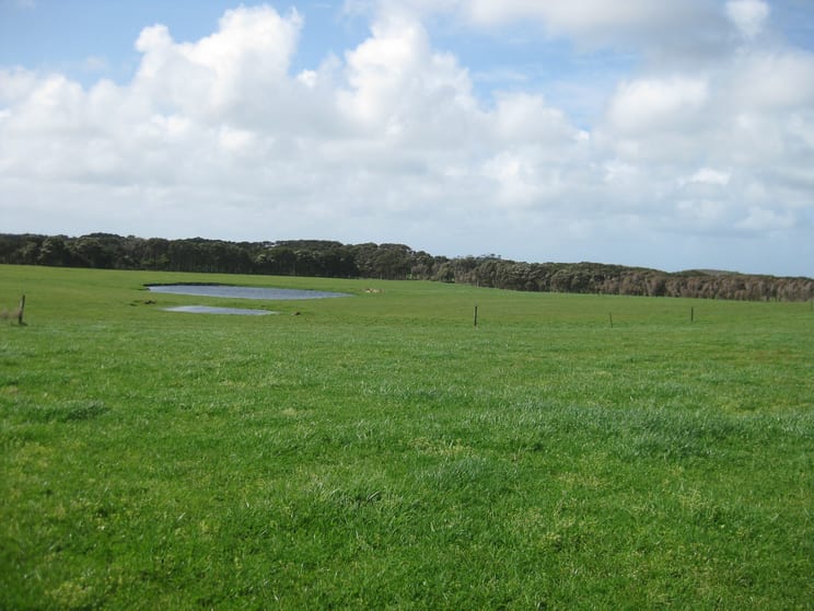 Click to view all images . Tin Mine Road Loorana TAS 7256 - Image 2