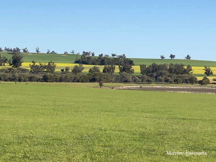 Click to view all images 4601 Doyle Road Bokal WA 6392 - Image 2