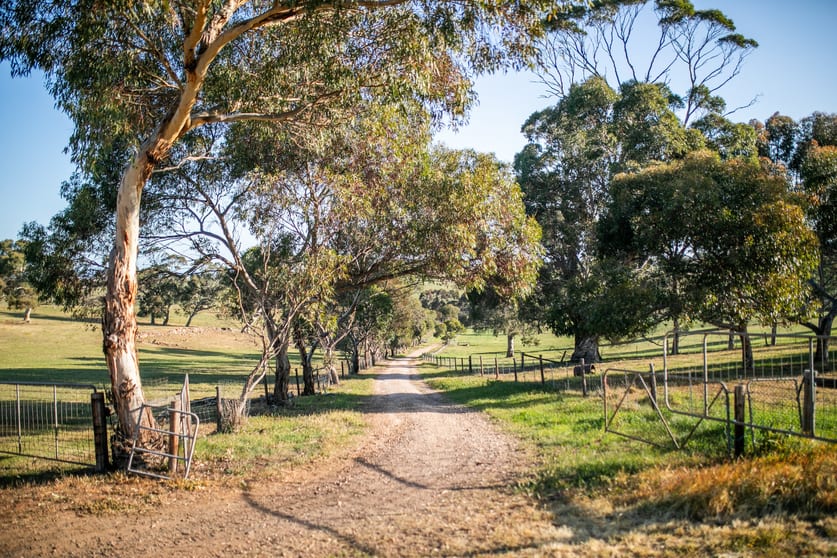 342 Klenke Road Red Creek SA 5255 - Image 3