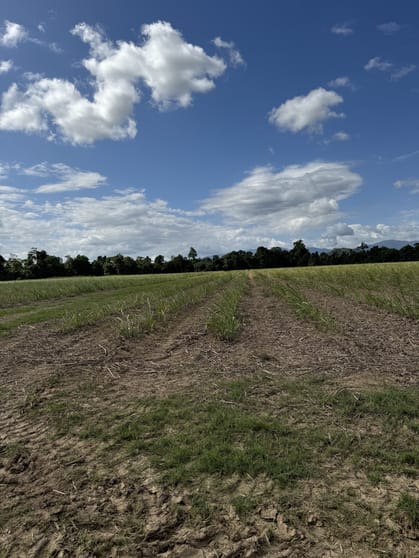 LOT 82 Gibbs Rd Munro Plains QLD 4854 - Image 3