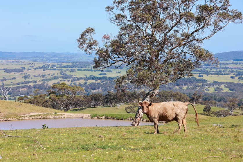Click to view all images 395 Crows Nest Road Port Elliot SA 5212 - Image 1
