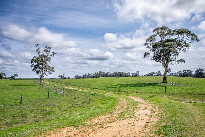 220 Old Stone Tank Road Mundulla SA 5270 - Image 3