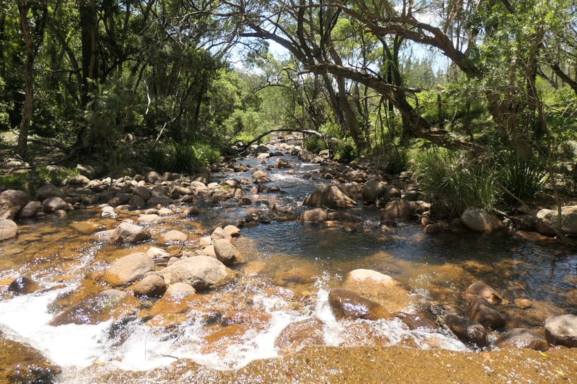 Click to view all images 29/ Rocky River Road Rocky River NSW 2372 - Image 1