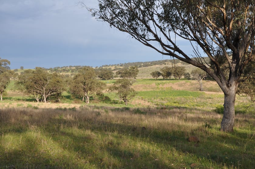 51 Queen St Bunnan NSW 2337 - Image 3