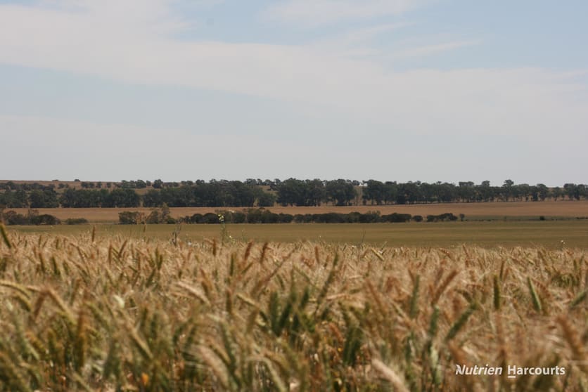 Click to view all images . Cnr Nembudding South Road & Hammond Road Korrelocking WA 6485 - Image 3