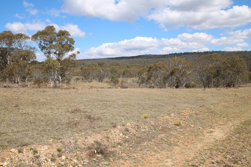 Click to view all images Lot 84 Parkers Road Peak View NSW 2630 - Image 3